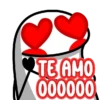 Tiktok 11