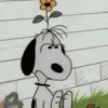 Snoopy 🐾⭐ 30
