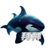拜拜