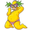 Homer Simpson 🍩 30