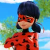 ladybugandcatnoir 6