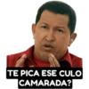 Chávez/Maduro 6