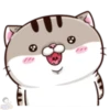 meowww demuk 6