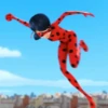 ladybugandcatnoir 8