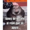 lunes de ... 👌 6