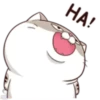 meowww demuk 9