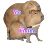 memes de carpinchos capibaras 5