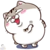 meowww demuk 11
