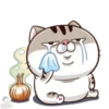 meowww demuk 13