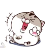 meowww demuk 14