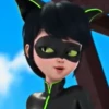 ladybugandcatnoir 12