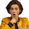 Timothée Chalamet 🩵 6