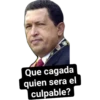 Chávez/Maduro 9