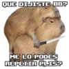 memes de carpinchos capibaras 8