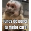 lunes de ... 👌 7