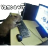 memes de carpinchos capibaras 9
