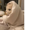 Cat 6