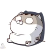 meowww demuk 16