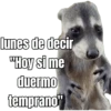 lunes de ... 👌 9