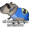 Capibara 7