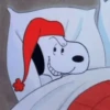 🐾•🏡Snoopy🏡•🐾 5
