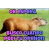 memes de carpinchos capibaras 10