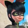 ladybugandcatnoir 15