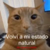 💥Chat Meme Collection💎🔝 1 8