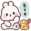 🐥🐰 My MaY RaBbIt 🐰🐥 16