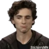 Timothée Chalamet 🩵 11