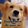 Juguemos di que si
