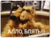 ХернR 15