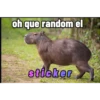 memes de carpinchos capibaras 11