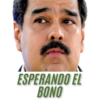 Chávez/Maduro 12