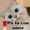 Pa tu con amor