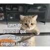 lunes de ... 👌 11