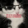Gatos con frasecitas💬🩷 7
