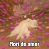 Morí de Amor