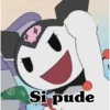Si pude