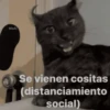 💥Chat Meme Collection💎🔝 1 9