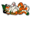 Kiss a Tiger 21