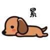 Long Long Dog 9