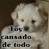 Toy cansado de todo