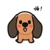 Long Long Dog 10