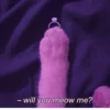 Cat 18