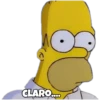 Homero 🧑‍🦲 18