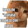 lunes de ... 👌 13