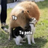 memes de carpinchos capibaras 13