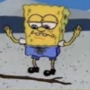 Sponge Bob 16