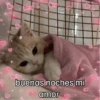 Buenas Noches Mi Amor